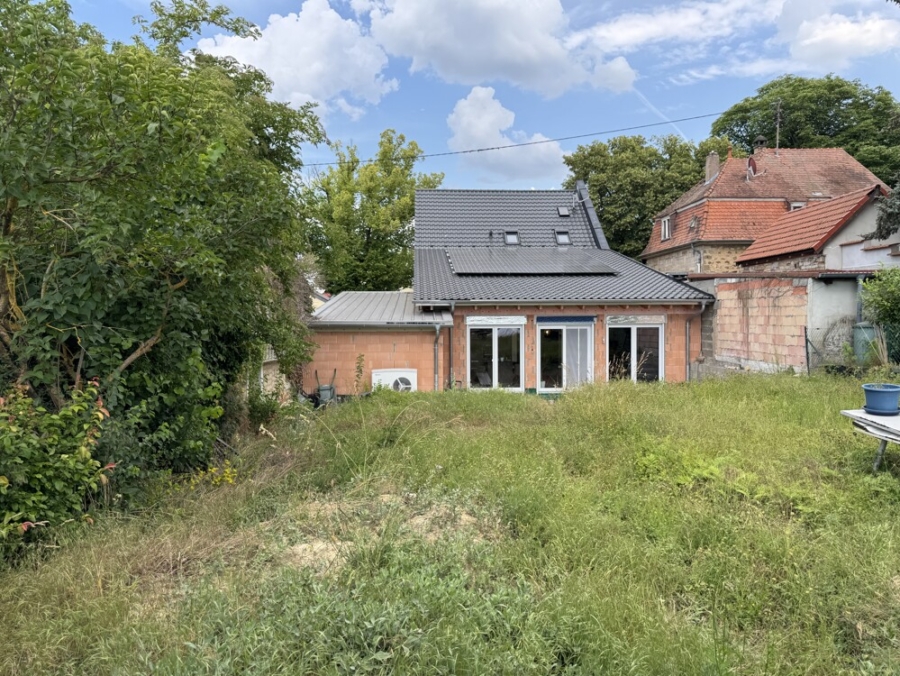 Blick aus dem Garten