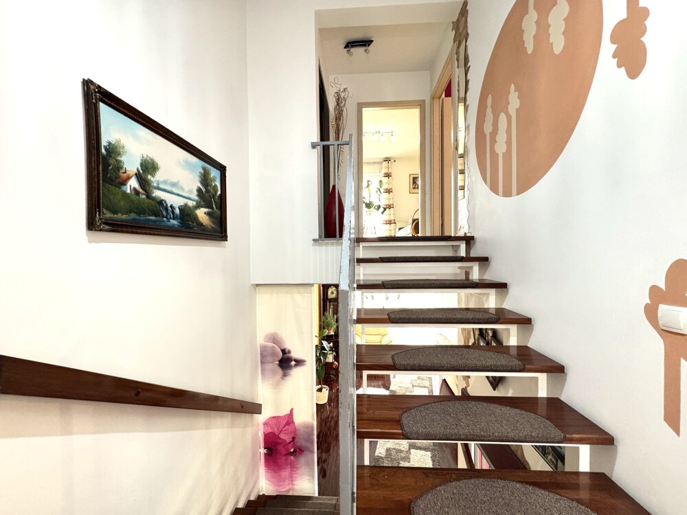 Split-Level