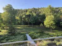 Blick in den Garten