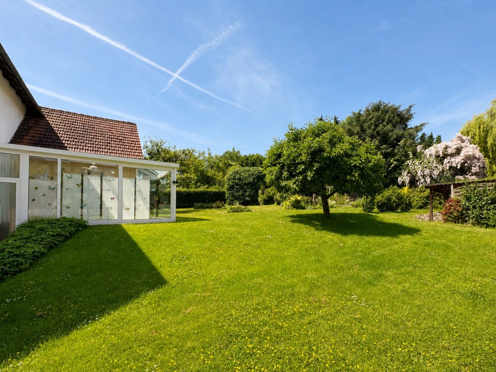 Bild vom Haus und Garten