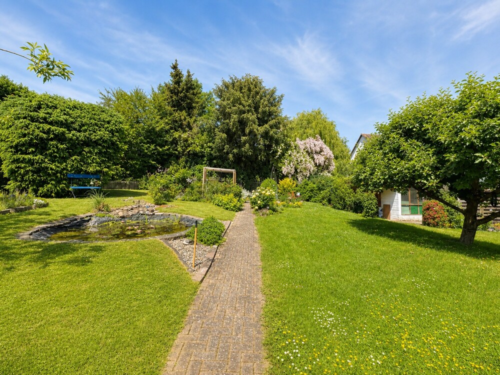 Bild vom Garten