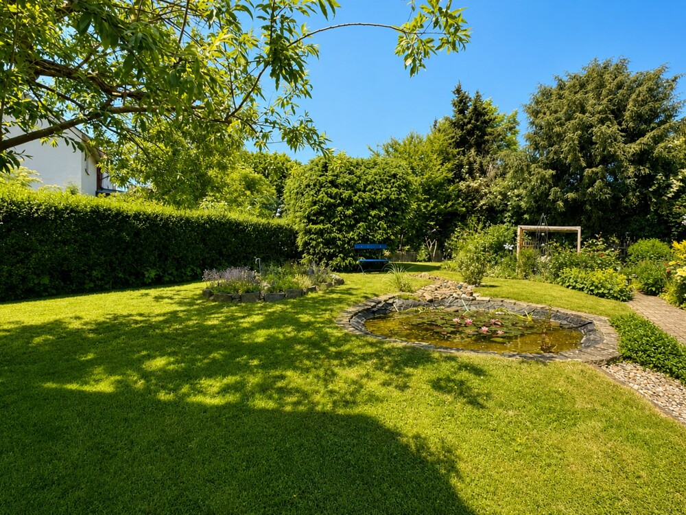 Bild vom Garten