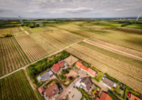 Blick in die Natur - Das neue Glück am Feldrand