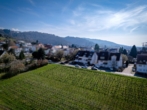 Aussicht - Über den Reben zuhause