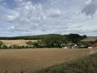 Ausblick