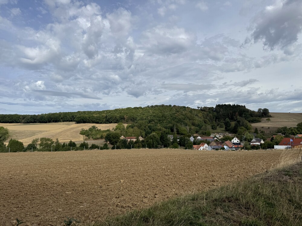 Ausblick