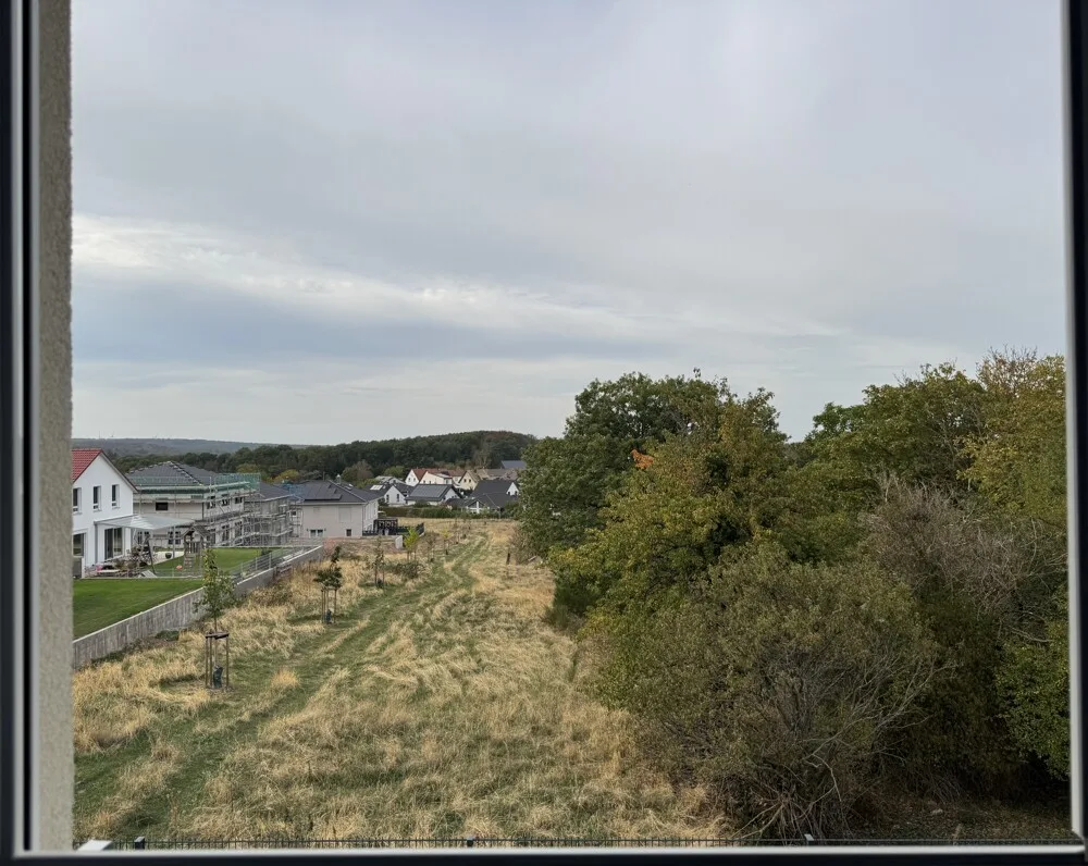 Blick ins Freie
