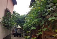 Der Weg zu Haus und Garten