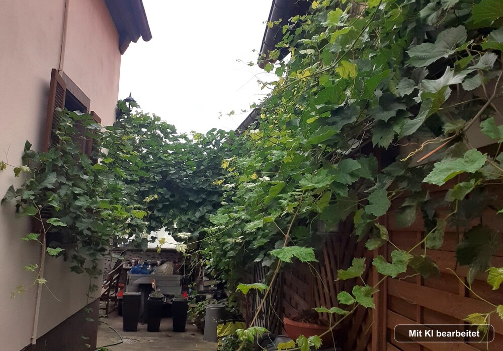 Der Weg zu Haus und Garten