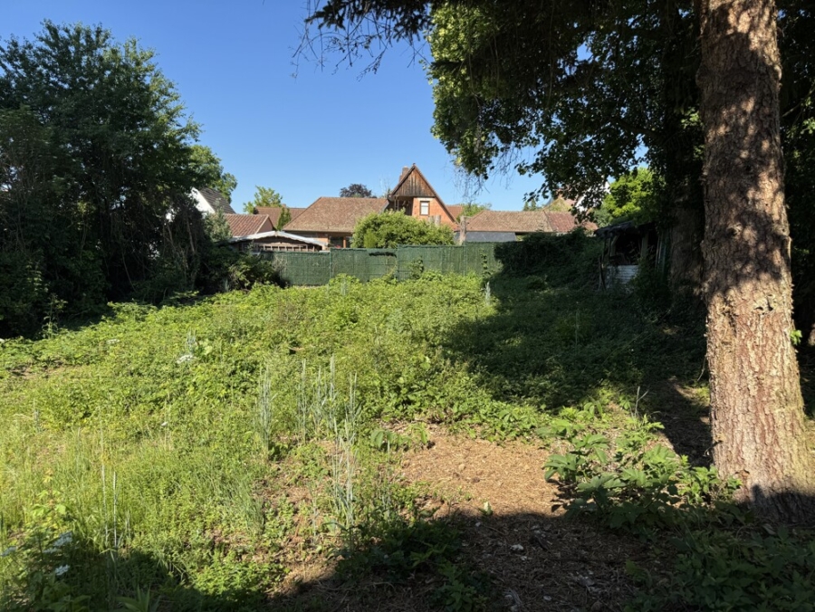 Der große Garten...