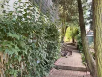 Weg
