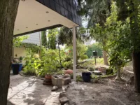 Blick in den Garten