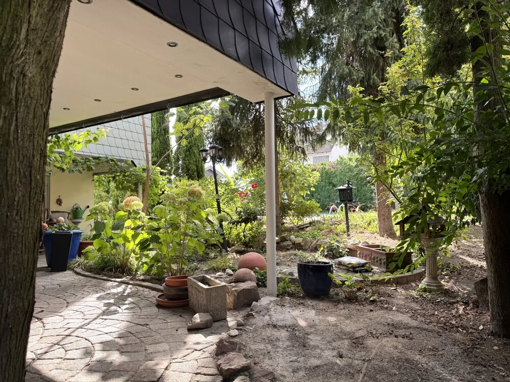 Blick in den Garten