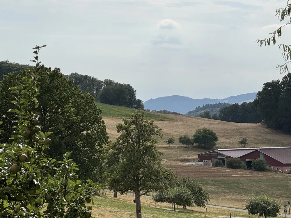 Ausblick