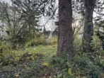 Garten - Ein Ort der Ruhe…