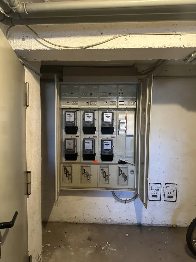 Elektrik