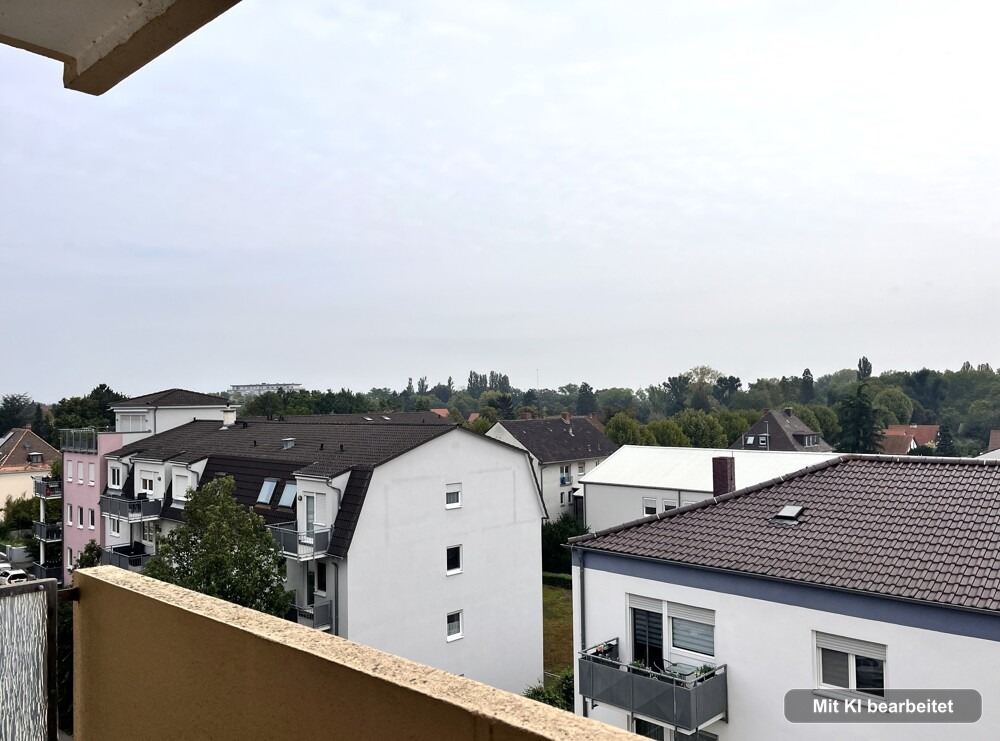 Ausblick über Frankenthal