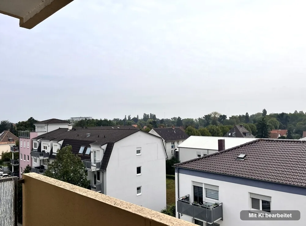 Ausblick über Frankenthal
