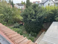 Blick in den Garten
