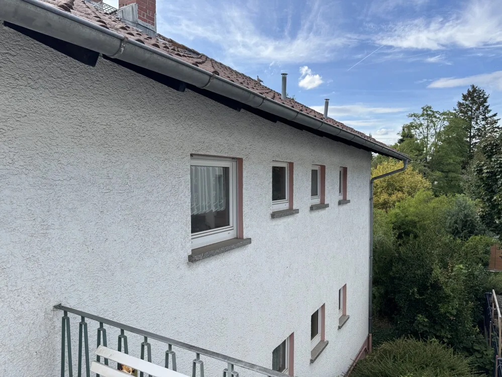Blick seitlich